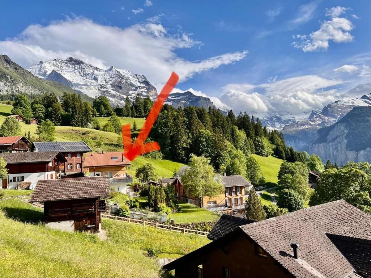 Chalet Viola Wengen Exterior foto