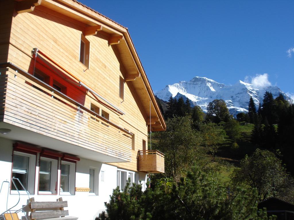 Chalet Viola Wengen Exterior foto
